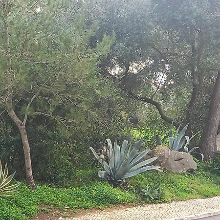 House Carcavelos