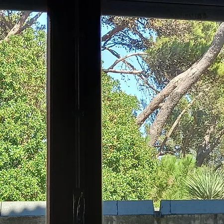 House Carcavelos * Parede