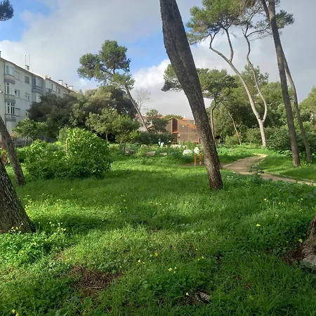 House Carcavelos Parede